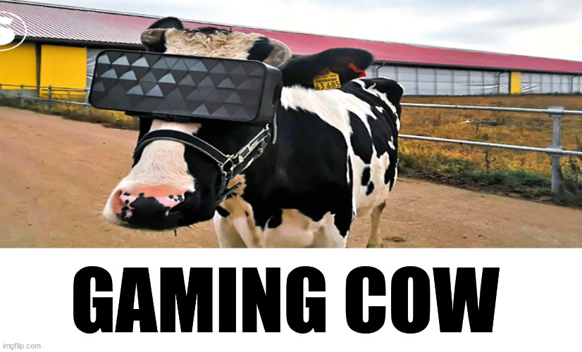GAMING COW | GAMING COW | image tagged in gaming,cow,video games | made w/ Imgflip meme maker