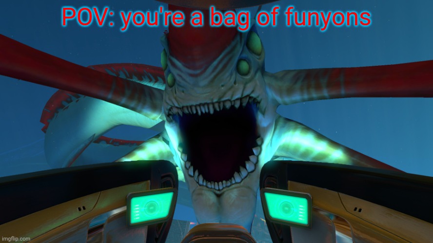 I really like funyons | POV: you're a bag of funyons | image tagged in reaper leviathan,subnautica,memes | made w/ Imgflip meme maker