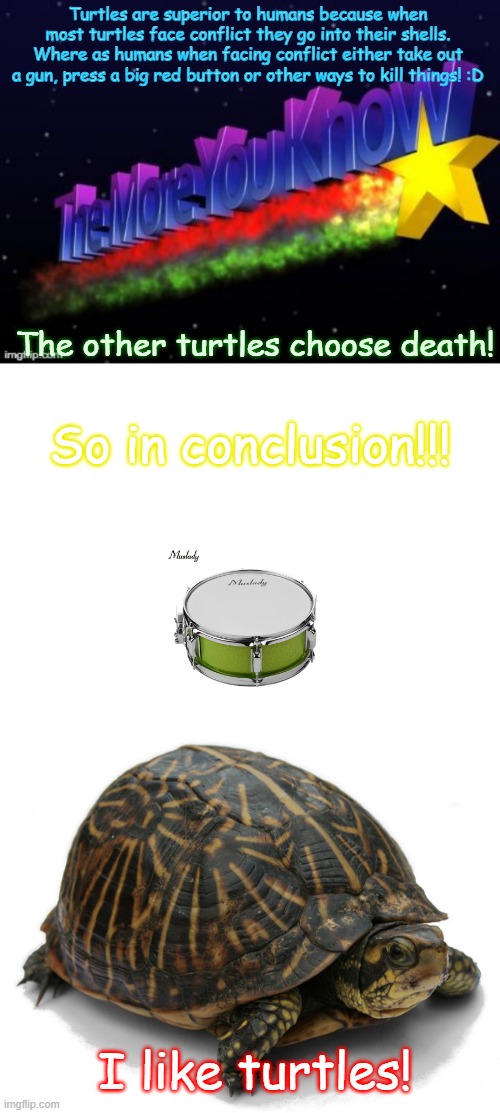 I don't disagree... | Turtles are superior to humans because when most turtles face conflict they go into their shells. Where as humans when facing conflict either take out a gun, press a big red button or other ways to kill things! :D; The other turtles choose death! So in conclusion!!! I like turtles! | image tagged in the more you know,blank white template | made w/ Imgflip meme maker