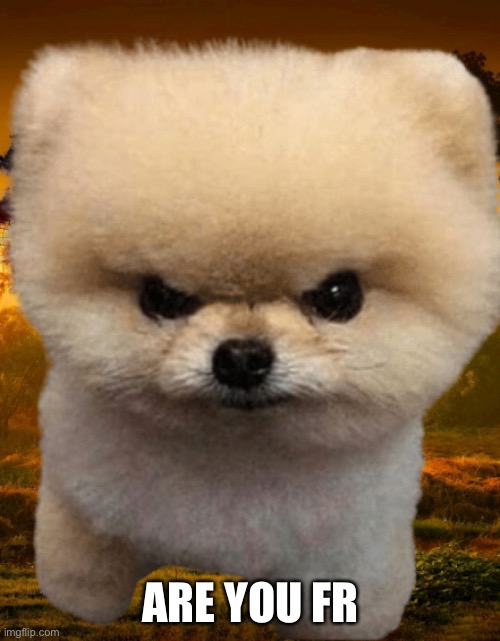 Fluffy, Destroyer of worlds | ARE YOU FR | image tagged in fluffy destroyer of worlds | made w/ Imgflip meme maker