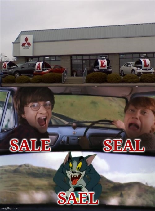 Sael | SEAL; SALE; SAEL | image tagged in tom chasing harry and ron weasly,car,sale,seal,you had one job,memes | made w/ Imgflip meme maker