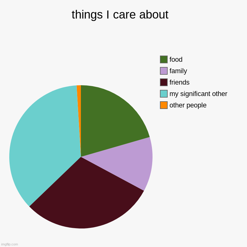 stole this idea from M0ssie | things I care about  | other people , my significant other , friends, family, food | image tagged in charts,pie charts | made w/ Imgflip chart maker