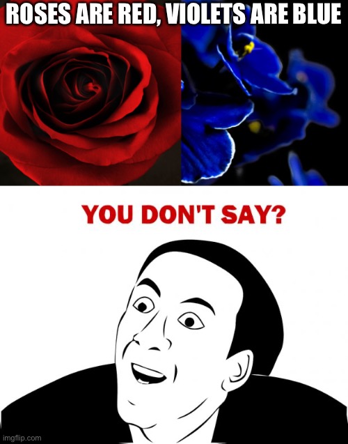 Oh really | ROSES ARE RED, VIOLETS ARE BLUE | image tagged in roses are red violets are blue,memes,you don't say | made w/ Imgflip meme maker