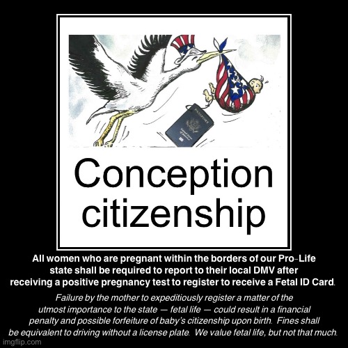 Conception Citizenship explained | image tagged in funny,demotivationals,conception,citizenship,pro-life,'murica | made w/ Imgflip demotivational maker