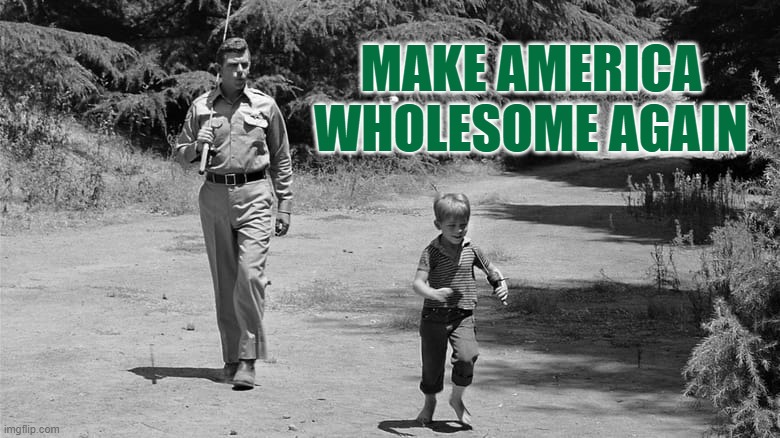 Make America Wholesome again | MAKE AMERICA WHOLESOME AGAIN | made w/ Imgflip meme maker