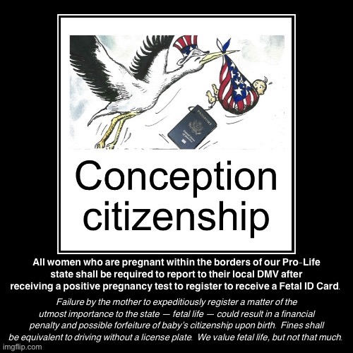 How to make Conception Citizenship work. Simple. All the infrastructure is already in place. Won’t be that hard! | image tagged in conception citizenship,conception,citizenship,dmv,'murica,pro-life | made w/ Imgflip meme maker