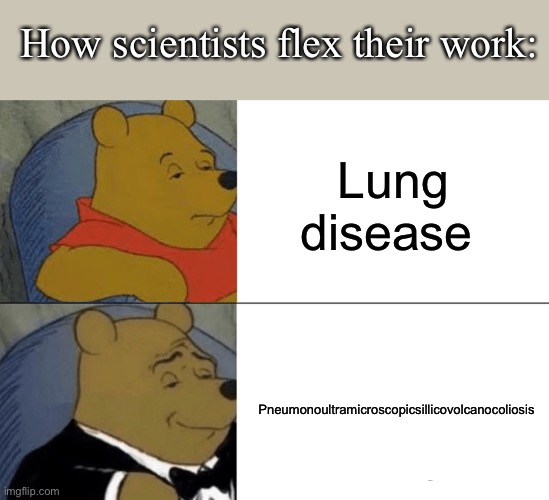 PneumonoultramicroscopilicsilicovolcanocolioSUS | How scientists flex their work:; Lung disease; Pneumonoultramicroscopicsillicovolcanocoliosis | image tagged in memes,tuxedo winnie the pooh | made w/ Imgflip meme maker