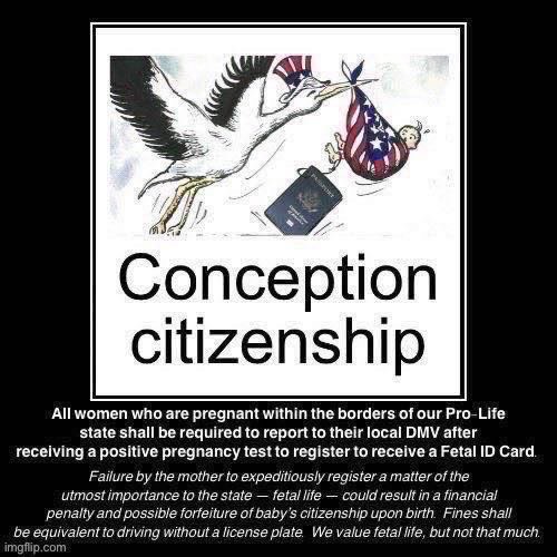 Conception citizenship | image tagged in conception citizenship | made w/ Imgflip meme maker