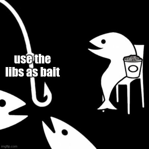 Bait | use the libs as bait | image tagged in bait | made w/ Imgflip meme maker