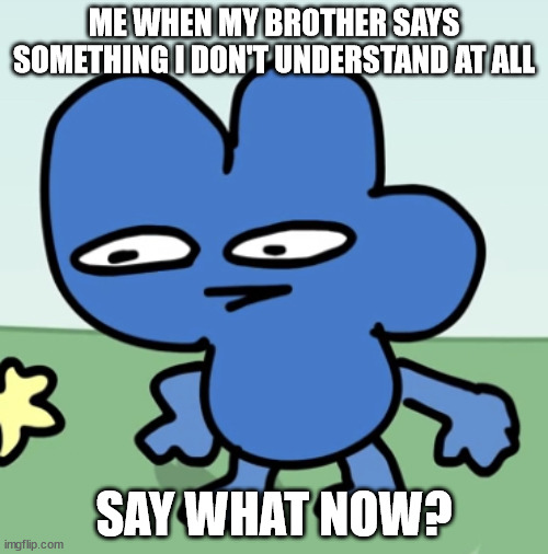 Say What Now? | ME WHEN MY BROTHER SAYS SOMETHING I DON'T UNDERSTAND AT ALL; SAY WHAT NOW? | image tagged in bfdi four strange face | made w/ Imgflip meme maker