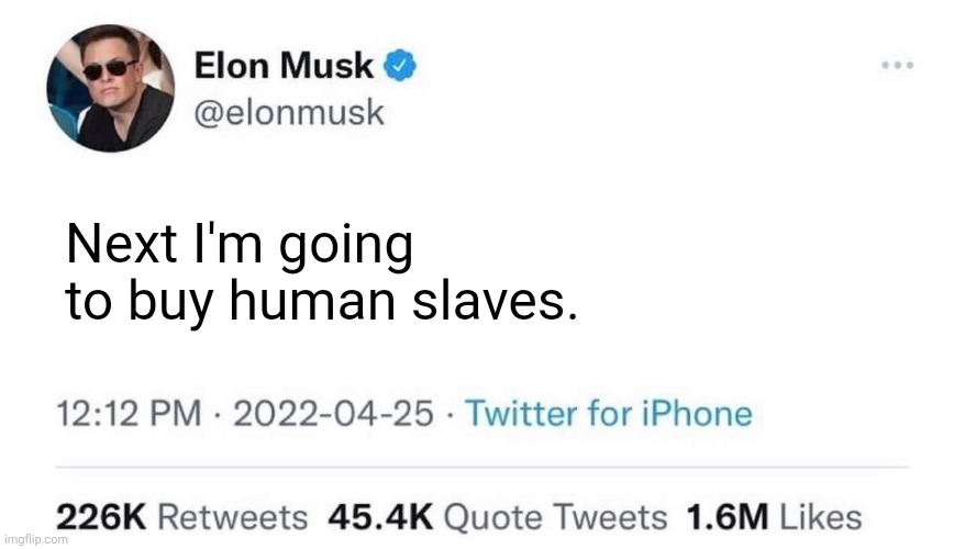 T o p text | Next I'm going to buy human slaves. | image tagged in elon musk buying twitter | made w/ Imgflip meme maker