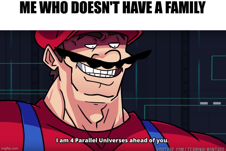 Mario I am four parallel universes ahead of you | ME WHO DOESN'T HAVE A FAMILY | image tagged in mario i am four parallel universes ahead of you | made w/ Imgflip meme maker