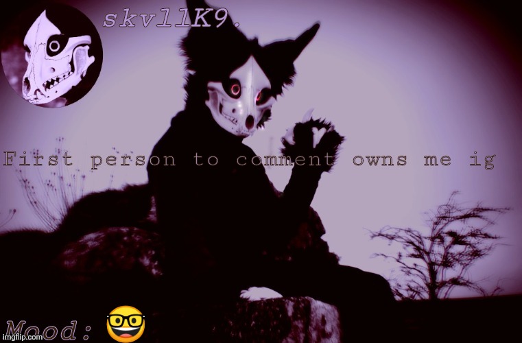 skvllK9.'s Cadaver temp | First person to comment owns me ig; 🤓 | image tagged in skvllk9 's cadaver temp | made w/ Imgflip meme maker