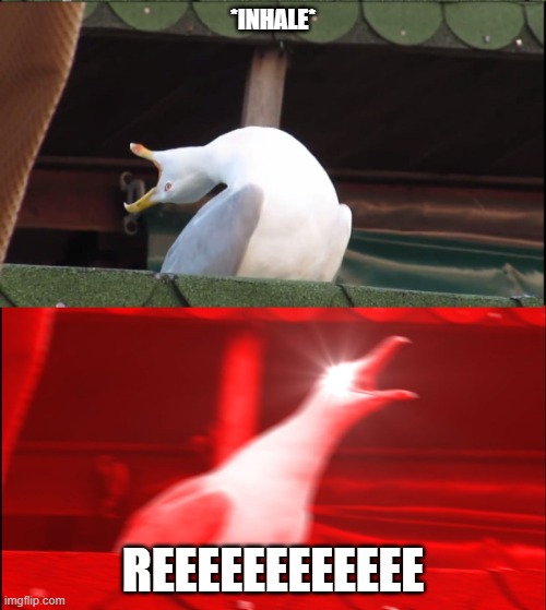 Screaming goose | *INHALE*; REEEEEEEEEEEE | image tagged in screaming goose | made w/ Imgflip meme maker