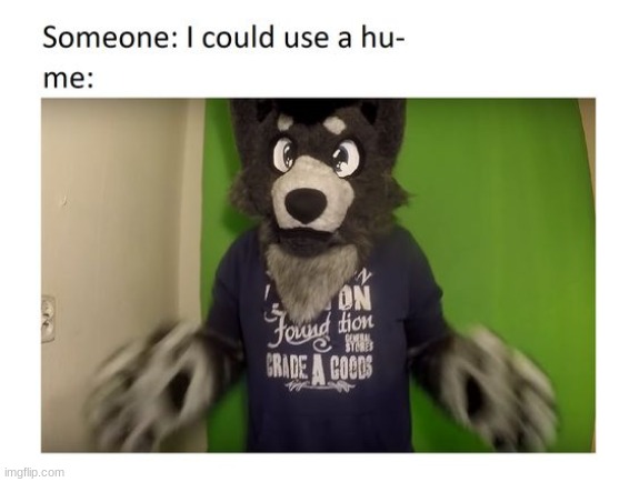 image tagged in memes,furry | made w/ Imgflip meme maker