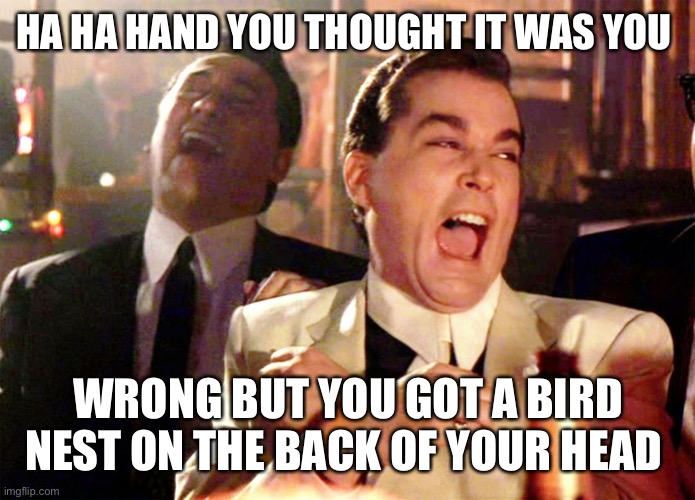 Good Fellas Hilarious | HA HA HAND YOU THOUGHT IT WAS YOU; WRONG BUT YOU GOT A BIRD NEST ON THE BACK OF YOUR HEAD | image tagged in memes,good fellas hilarious | made w/ Imgflip meme maker