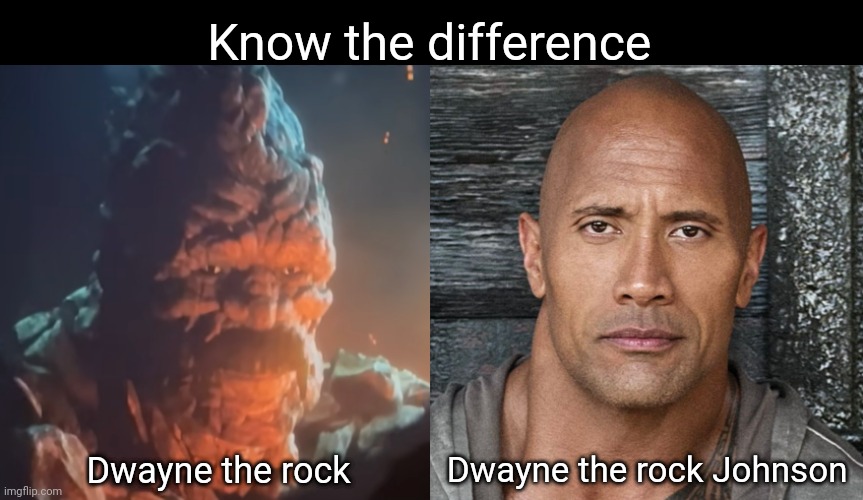 Will the real Dwayne please stand up | Know the difference; Dwayne the rock; Dwayne the rock Johnson | image tagged in the rock | made w/ Imgflip meme maker