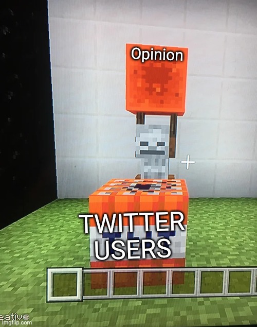 Skeleton Placing Redstone Block on TNT | Opinion; TWITTER USERS | image tagged in skeleton placing redstone block on tnt | made w/ Imgflip meme maker