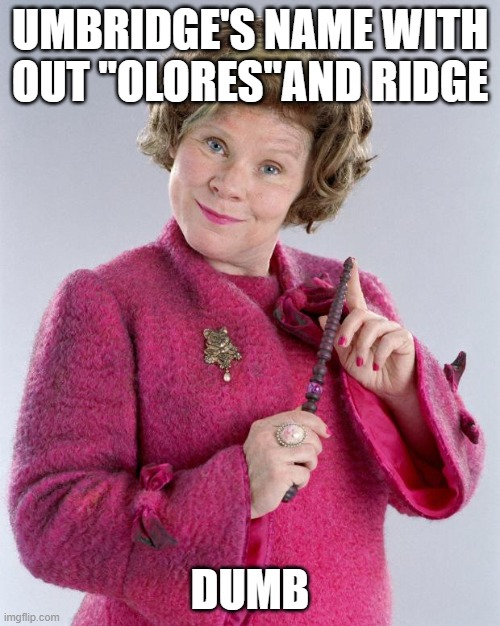 dumb |  UMBRIDGE'S NAME WITH OUT "OLORES"AND RIDGE; DUMB | image tagged in dolores umbridge | made w/ Imgflip meme maker