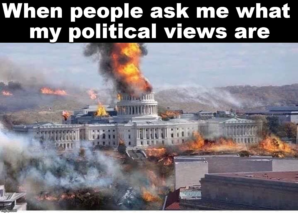 When people ask me what 
my political views are | image tagged in political meme | made w/ Imgflip meme maker