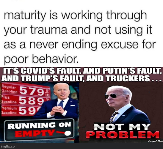 Democrat Immaturity...the blame game....Lame ... | image tagged in demorat cocktail party,immaturity,democrats,biden,blame game | made w/ Imgflip meme maker