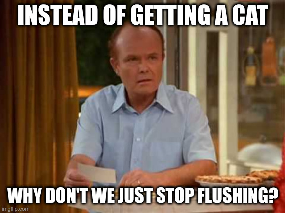 instead of getting a cat | INSTEAD OF GETTING A CAT; WHY DON'T WE JUST STOP FLUSHING? | image tagged in red forman that 70's show | made w/ Imgflip meme maker