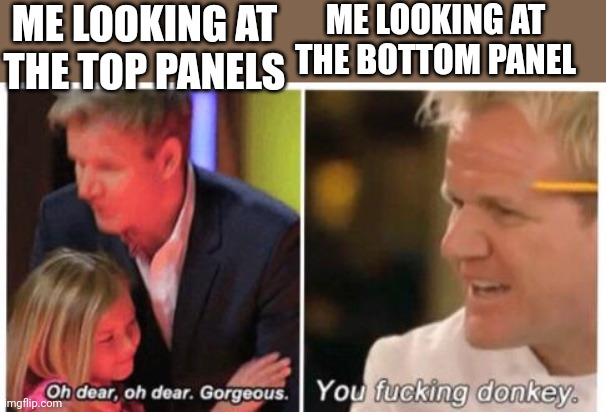 Oh dear, dear gorgeus | ME LOOKING AT THE TOP PANELS ME LOOKING AT THE BOTTOM PANEL | image tagged in oh dear dear gorgeus | made w/ Imgflip meme maker