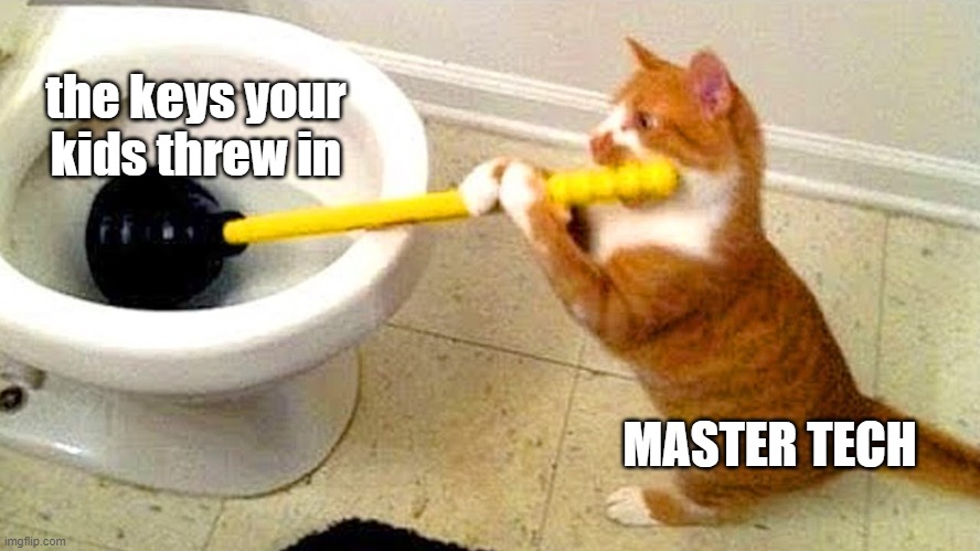 Your keys | the keys your kids threw in; MASTER TECH | image tagged in cat plumber,texas,cat,toilet,kids,plumber | made w/ Imgflip meme maker