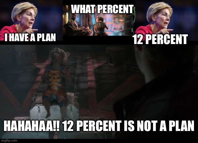 Elizabeth Warren DOES NOT Have A Plan | WHAT PERCENT; I HAVE A PLAN; 12 PERCENT; HAHAHAA!! 12 PERCENT IS NOT A PLAN | image tagged in elizabeth warren,pocahontas,full of shit | made w/ Imgflip meme maker