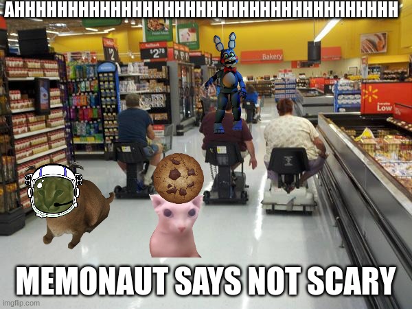 Walmart racing | AHHHHHHHHHHHHHHHHHHHHHHHHHHHHHHHHHHHH MEMONAUT SAYS NOT SCARY | image tagged in walmart racing | made w/ Imgflip meme maker