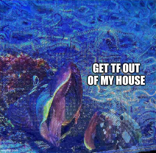 Went to the aquarium today and had to… | GET TF OUT OF MY HOUSE | image tagged in yelling fish,we have come for your nectar,shitpost,funny memes | made w/ Imgflip meme maker