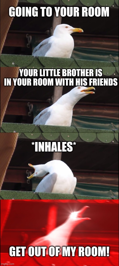 Inhaling Seagull Meme |  GOING TO YOUR ROOM; YOUR LITTLE BROTHER IS IN YOUR ROOM WITH HIS FRIENDS; *INHALES*; GET OUT OF MY ROOM! | image tagged in memes,inhaling seagull | made w/ Imgflip meme maker