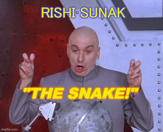 Sunak "The Snake" | RISHI SUNAK; "THE SNAKE!" | image tagged in memes,dr evil laser | made w/ Imgflip meme maker