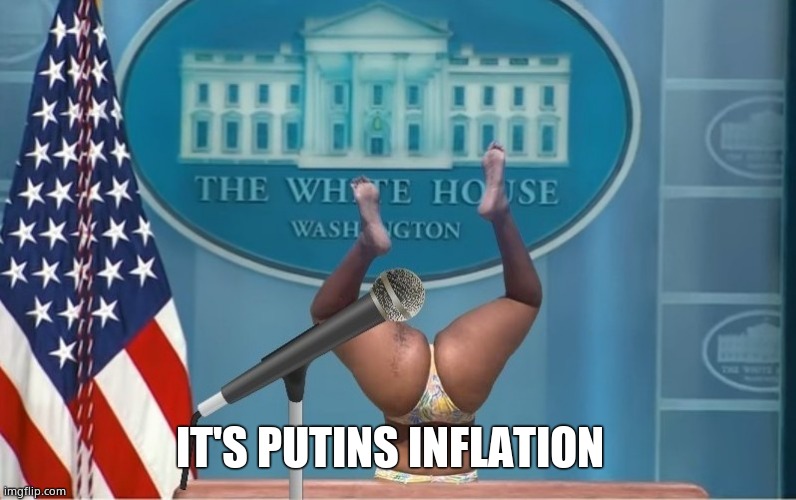 Press secretary | IT'S PUTINS INFLATION | image tagged in press secretary | made w/ Imgflip meme maker