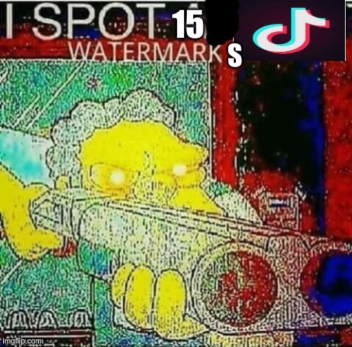 I spot a tik tok watermark | 15 S | image tagged in i spot a tik tok watermark | made w/ Imgflip meme maker