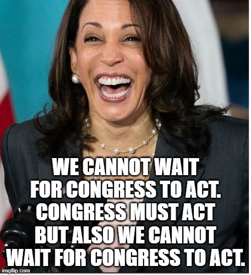 Veep Thoughts | WE CANNOT WAIT FOR CONGRESS TO ACT. CONGRESS MUST ACT BUT ALSO WE CANNOT WAIT FOR CONGRESS TO ACT. | image tagged in kamala harris | made w/ Imgflip meme maker