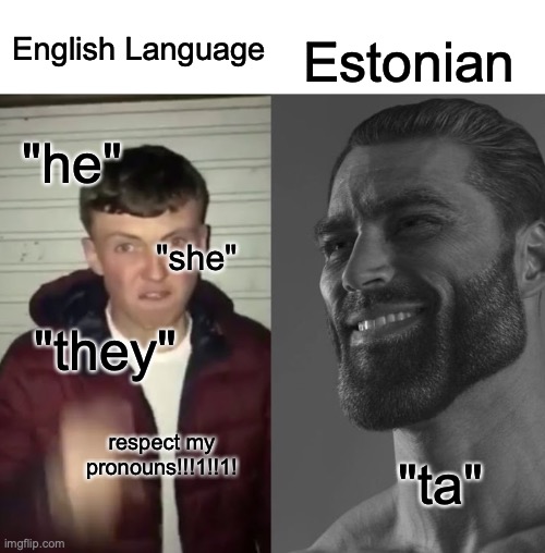 Estonia is a gigachad (same with Finnish actually, neither distinguish gender in pronouns) | Estonian; English Language; "he"; "she"; "they"; respect my pronouns!!!1!!1! "ta" | image tagged in average fan vs average enjoyer | made w/ Imgflip meme maker