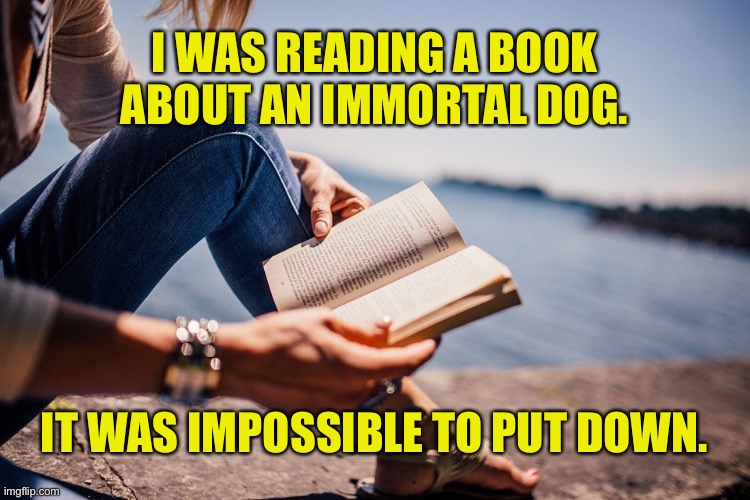 Reading a good book | I WAS READING A BOOK ABOUT AN IMMORTAL DOG. IT WAS IMPOSSIBLE TO PUT DOWN. | image tagged in good story,reading,good book,immortal dog,could not put down,dark humor | made w/ Imgflip meme maker