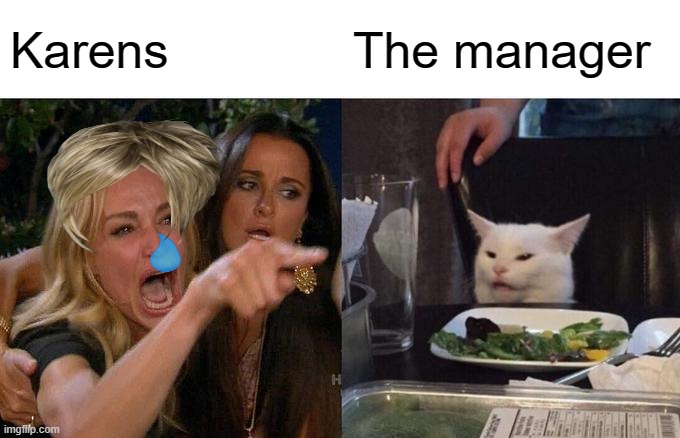 Woman Yelling At Cat |  Karens; The manager | image tagged in memes,woman yelling at cat,karens,karen the manager will see you now,manager,funny memes | made w/ Imgflip meme maker