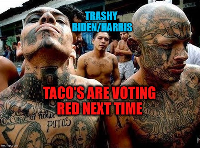 Illegals vote red | TRASHY 
BIDEN/HARRIS; TACO'S ARE VOTING 
RED NEXT TIME | image tagged in ms13,tacos | made w/ Imgflip meme maker