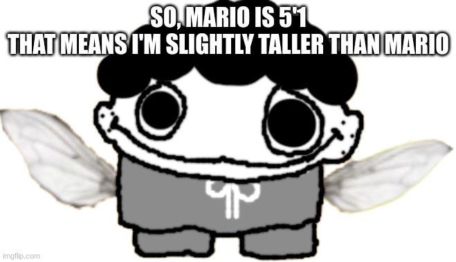 Flylos Or Something | SO, MARIO IS 5'1
THAT MEANS I'M SLIGHTLY TALLER THAN MARIO | image tagged in flylos or something | made w/ Imgflip meme maker
