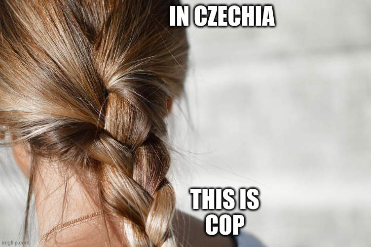 IN CZECHIA; THIS IS
COP | made w/ Imgflip meme maker