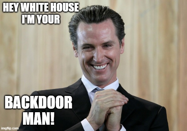 While Slurred Speech Joe is out of town on dirty business | HEY WHITE HOUSE
I'M YOUR; BACKDOOR
MAN! | image tagged in creepy joe biden,scheming gavin newsom,pelosi,white house,jim morrison,the doors | made w/ Imgflip meme maker