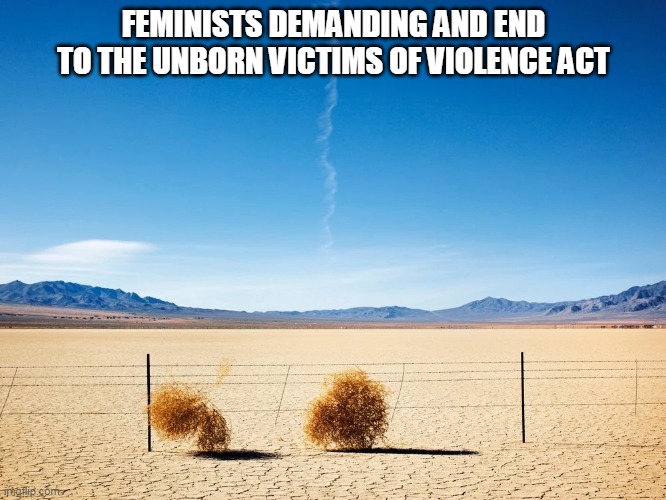 FEMINISTS DEMANDING AND END TO THE UNBORN VICTIMS OF VIOLENCE ACT | made w/ Imgflip meme maker