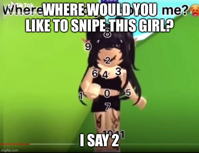 8 and 2 = headshot | WHERE WOULD YOU LIKE TO SNIPE THIS GIRL? I SAY 2 | image tagged in roblox,pls get me unseened juice | made w/ Imgflip meme maker