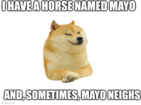 Horse Joke | I HAVE A HORSE NAMED MAYO; AND, SOMETIMES, MAYO NEIGHS | image tagged in blank white template,horse,funny,puns | made w/ Imgflip meme maker