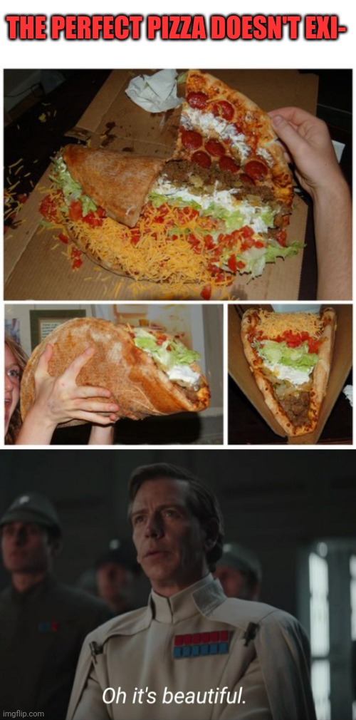 PIZZA OR TACO? |  THE PERFECT PIZZA DOESN'T EXI- | image tagged in oh it's beautiful,memes,pizza,pizza time | made w/ Imgflip meme maker