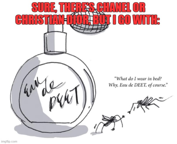 Eau de DEET | SURE, THERE'S CHANEL OR CHRISTIAN DIOR, BUT I GO WITH: | image tagged in deet,mosquitoes,maine,bugs,perfume,cologne | made w/ Imgflip meme maker