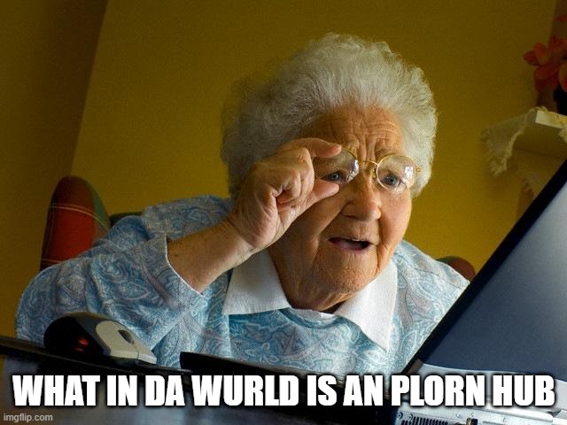 Grandma Finds The Internet Meme | WHAT IN DA WURLD IS AN PLORN HUB | image tagged in memes,grandma finds the internet | made w/ Imgflip meme maker