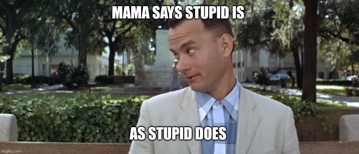 Forest Gump | MAMA SAYS STUPID IS AS STUPID DOES | image tagged in forest gump | made w/ Imgflip meme maker